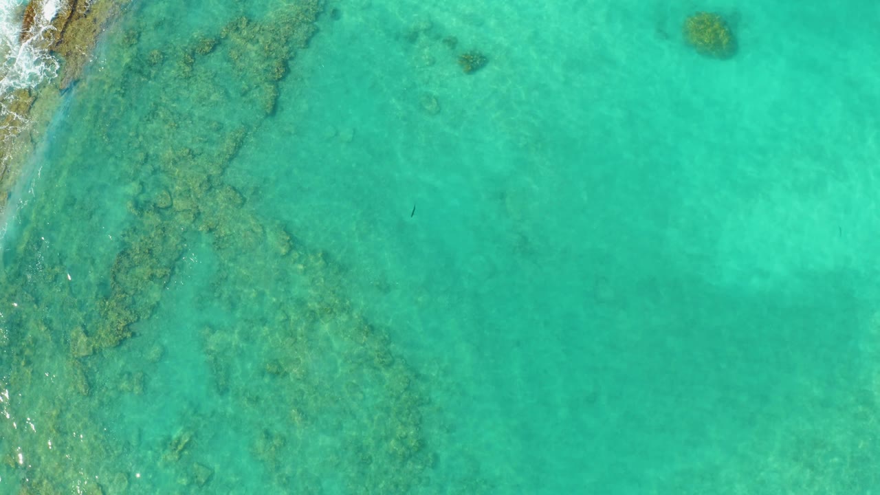 Overhead Cabo Pulmo ocean frame with a reef shelf under the left half of the water, faint white foam near the rocks, and no visible people.