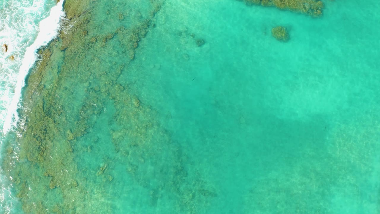 Overhead Cabo Pulmo shoreline view shows white surf curling along the left margin, reef texture through the center, and broad turquoise water to the right with no visible people.