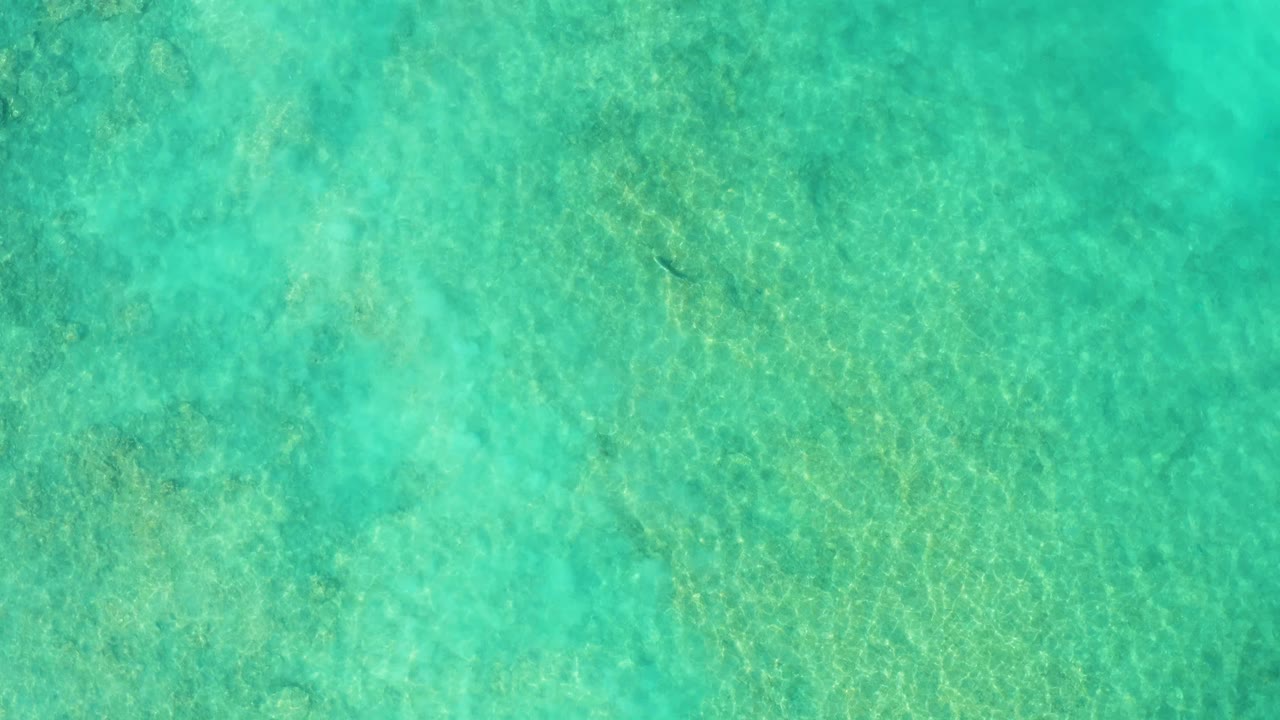 Clear shallow water fills the frame in Cabo Pulmo, with a sandy bottom, pale green-blue color, and no visible people or objects.