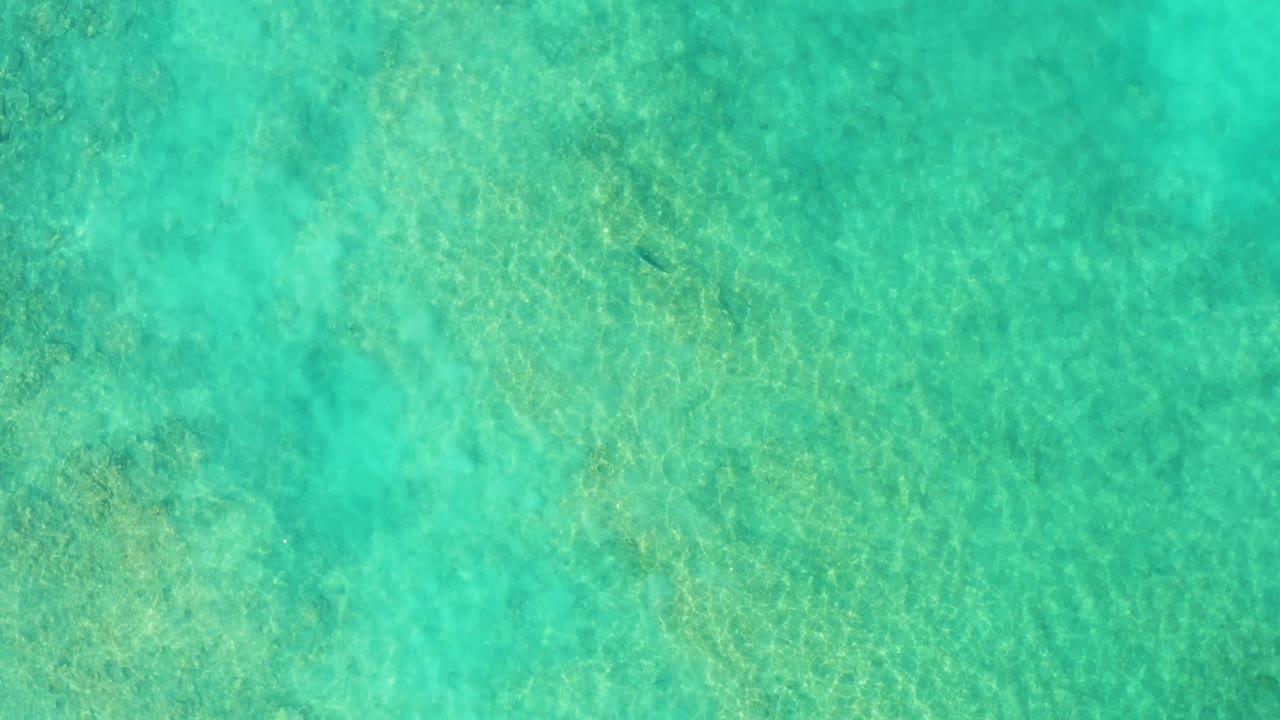 Green-blue shallow water covers the frame in Cabo Pulmo, with moving-looking ripple bands across the sandy floor and no visible people.