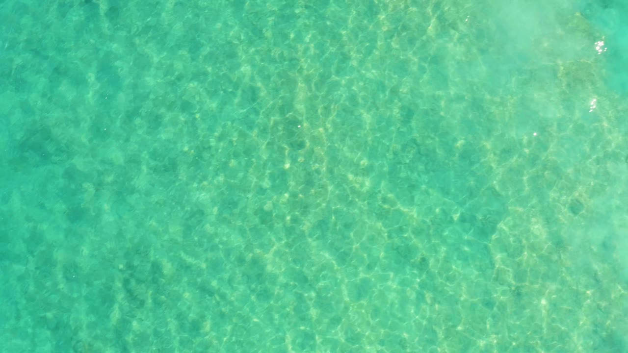 Clear Cabo Pulmo ocean water fills the frame, with sunlight caustics crossing the shallow seabed and no visible people.