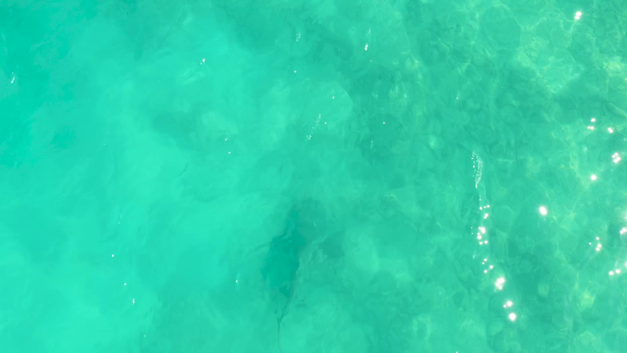 At 0:00, a dark stingray shape is visible beneath rippled turquoise water over the seabed in Cabo Pulmo, with no visible people.