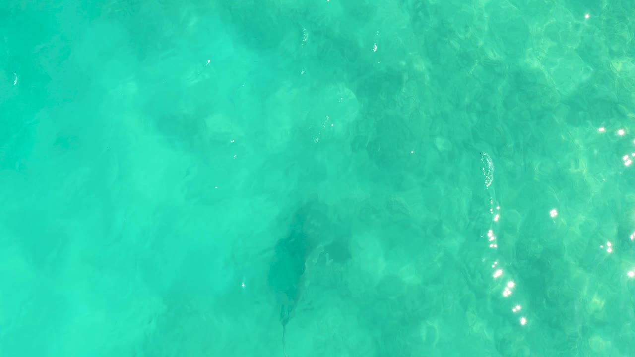 Stingray moving under bright rippled water