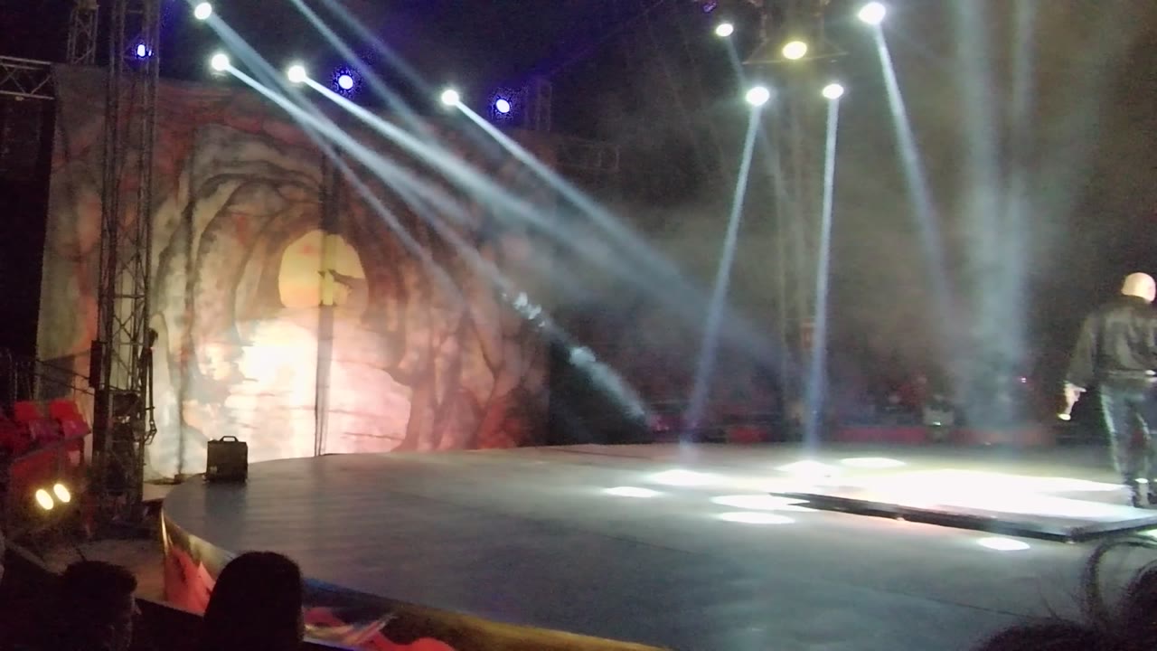 Performer walking across the stage beneath crossing light beams.
