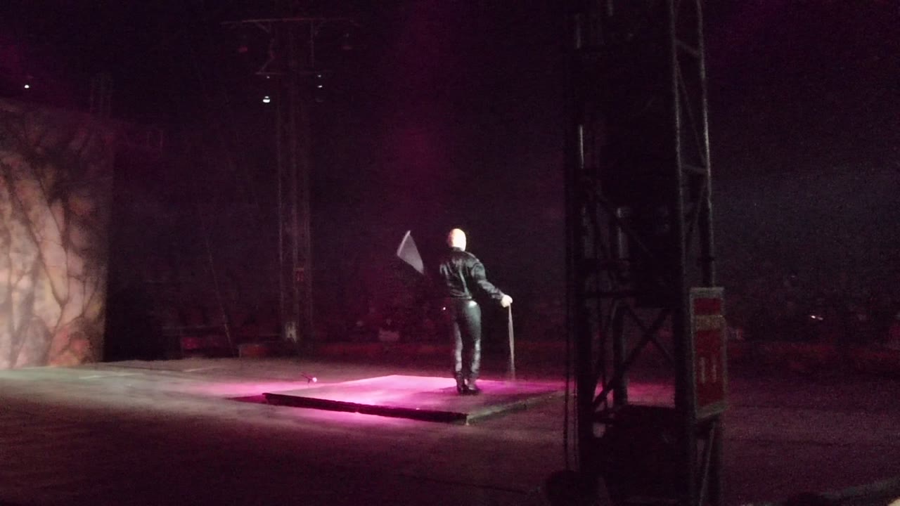 A performer in dark clothing stands on a pink-lit stage platform in San Jose del Cabo, holding a small flag or prop with dark seating behind.