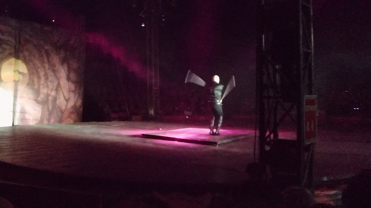 Dancer raises flags under purple stage lighting.