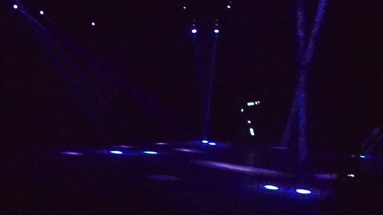 San Jose del Cabo night scene with blue path lights, a dark tree trunk on the right, and moving beams visible against the black background, with no visible people.