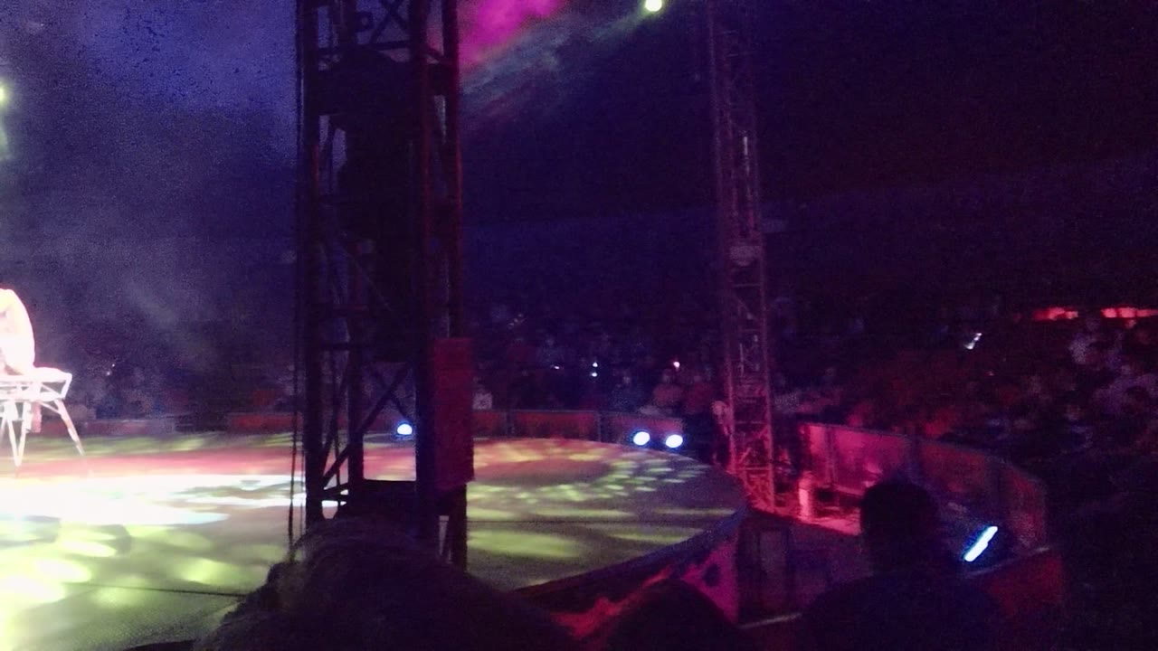 The acrobat is visible on a white chair in San Jose Del Cabo, lit by bright stage light against purple smoke and a dark audience background.