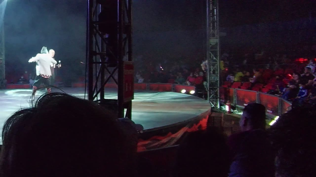 A performer moves across the lit stage while the audience watches.