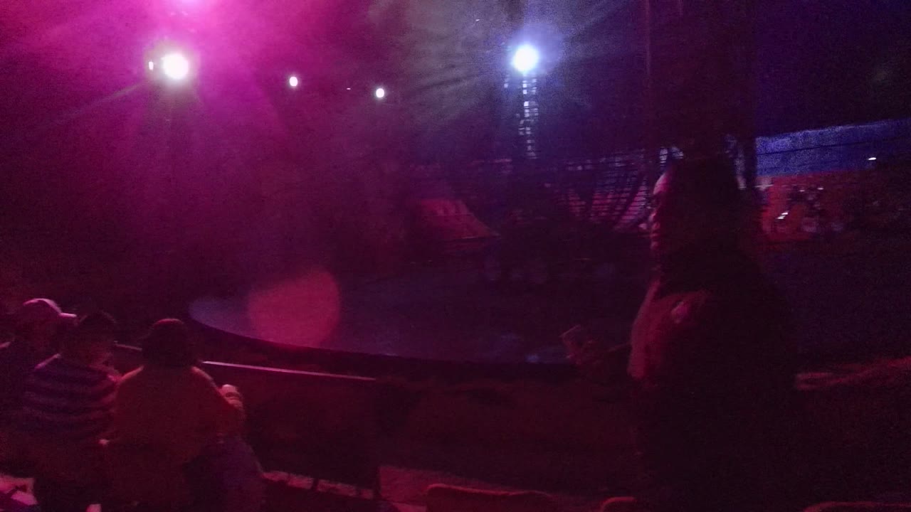 Audience members sit near a circular stage in the San Jose del Cabo venue, with magenta light washing across the foreground and blue light in the back.