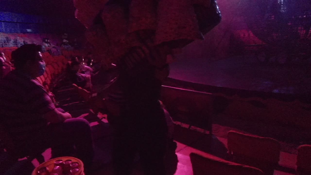 Seated spectators beside a stage as a foreground figure and fabric pass through pink light.