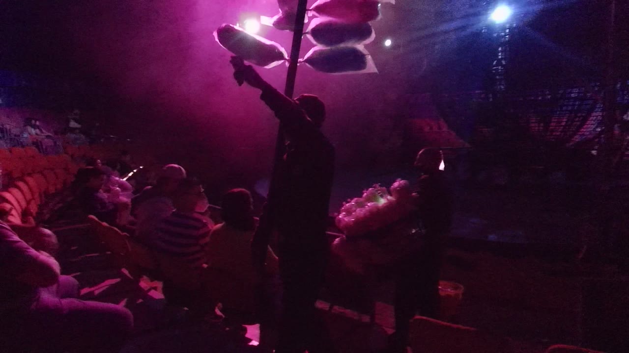 In San Jose del Cabo, a silhouetted man with a raised light pole stands in an aisle beside seated audience members under purple and pink venue lighting.