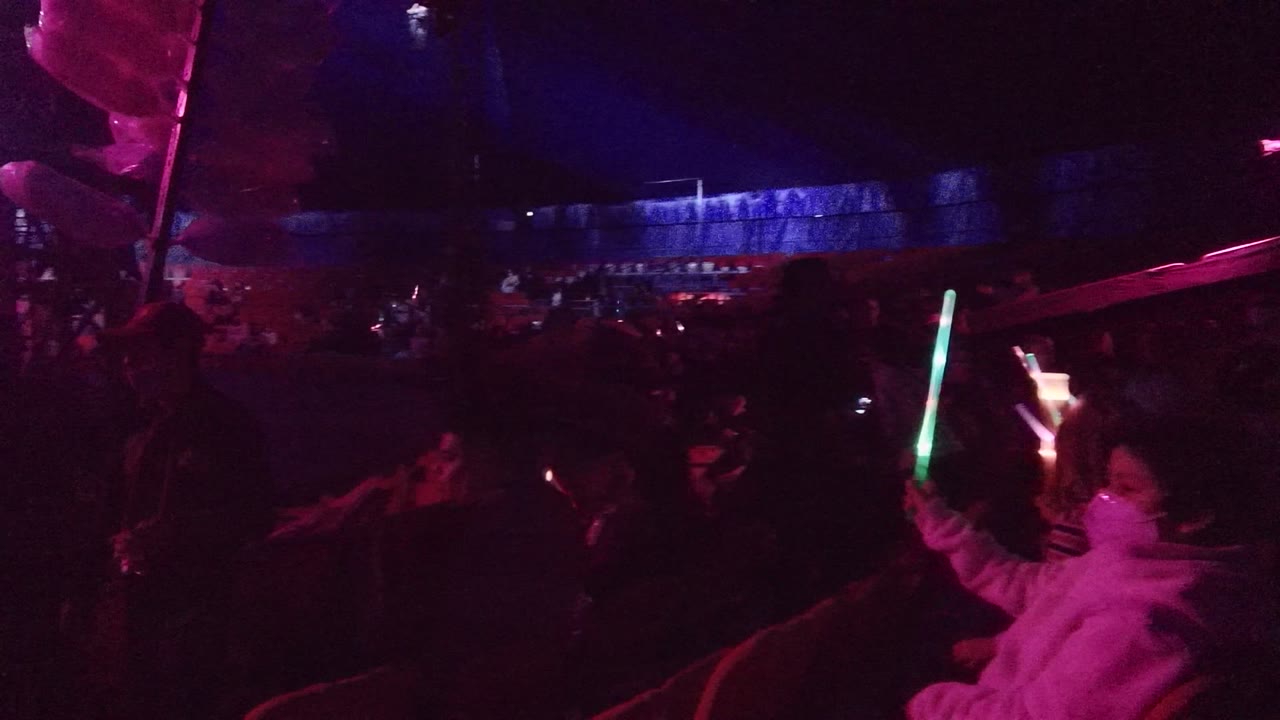 Audience members at a San Jose Del Cabo concert sit and dance in dark purple light while green and pink glow sticks appear near the foreground.