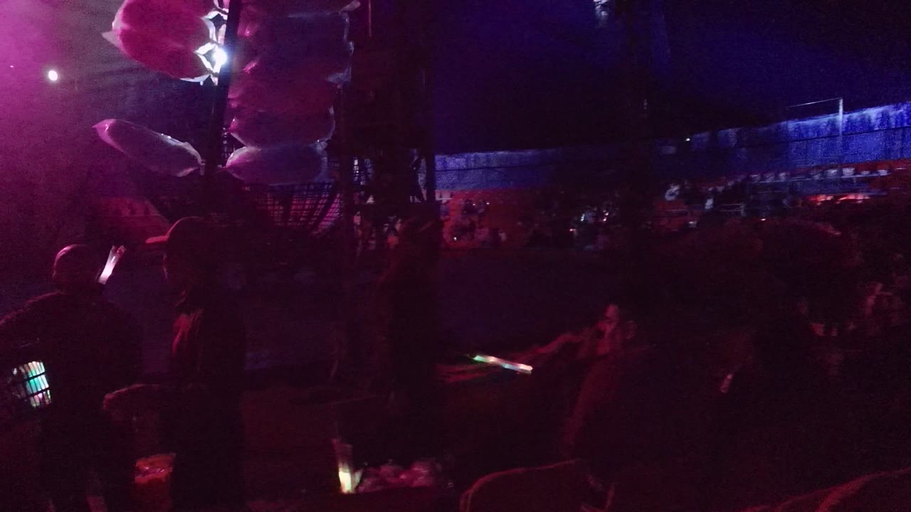 Silhouetted people at the San Jose Del Cabo concert wave small glowing sticks while pink light spills from above and blue light marks the rear seating area.