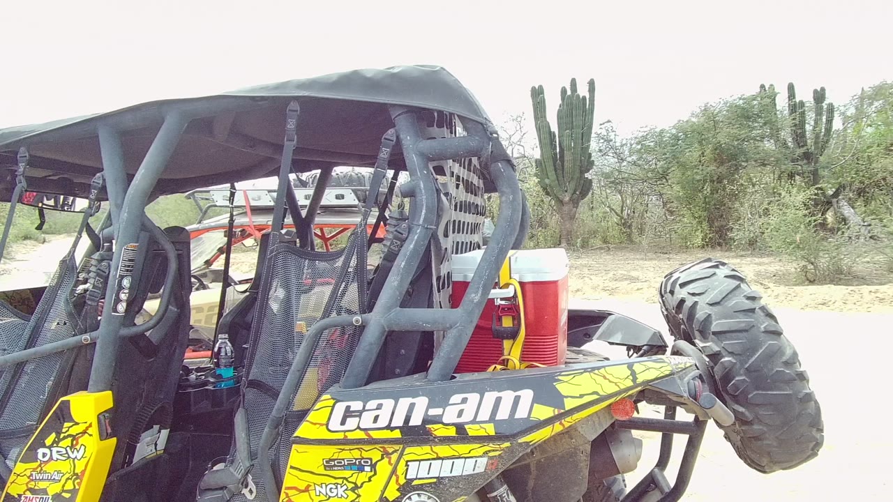 Rear corner of a yellow Can-Am off-road buggy in Los Cabos with a mounted spare tire, red cooler, roll cage, sandy road, desert brush, and cacti in the background.