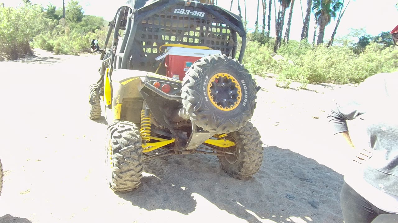 A yellow and black Can-Am UTV sits on bright sand in Los Cabos, Baja California Sur, with palm trees behind it and part of a person crossing the foreground.