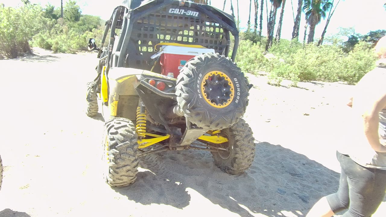 The rear of the Can-Am off-road vehicle remains centered in Los Cabos as the person is nearly cropped out on the far right, with sandy ground and palm-lined greenery behind.