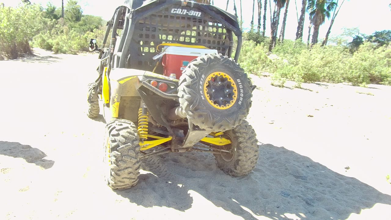 Rear of a yellow-accented Can-Am off-road vehicle parked on sandy ground in Los Cabos, Mexico, with palm trees and scrub vegetation behind it and no visible people.