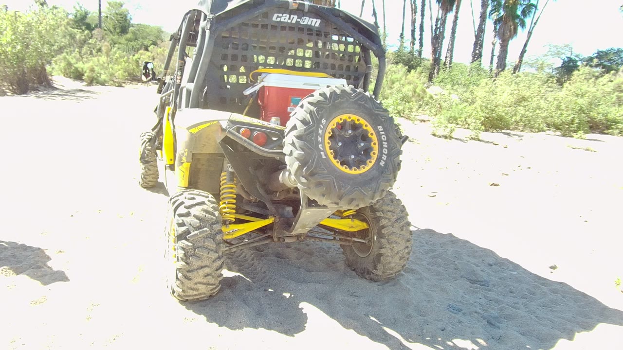 Rear view of a yellow and black UTV parked on a sandy path in Los Cabos, Baja California Sur, with dry shrubs, tall palms, bright sun, and no visible people.