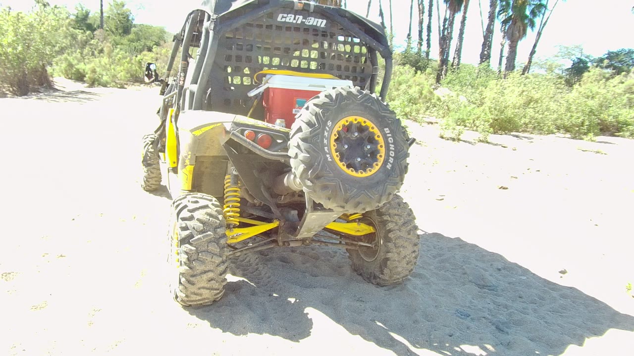 Rear view of a yellow and black off-road vehicle parked on a sandy path in Los Cabos, Mexico, with green vegetation and palm trees behind it and no visible people.
