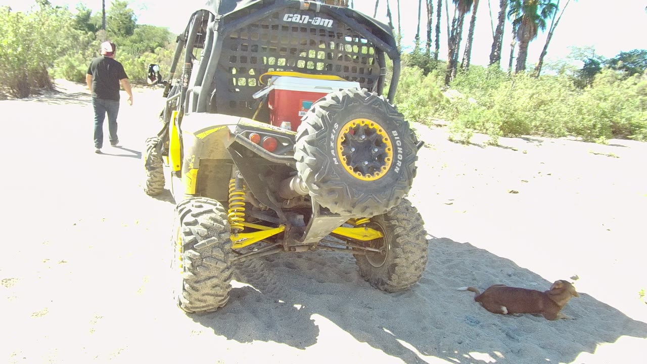 Off-road vehicle parked on sand with a person farther ahead and a dog lying nearby.
