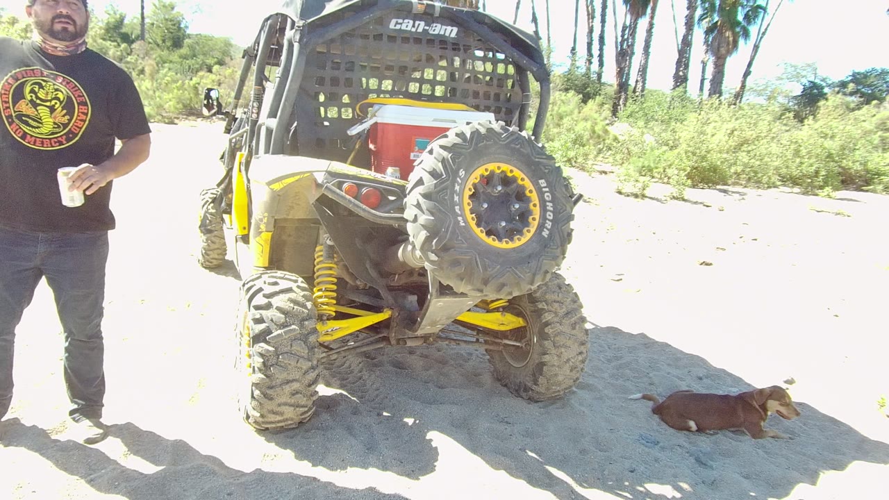 In Los Cabos, Baja California Sur, a man stands partly cropped beside a yellow and black Can-Am off-road vehicle while a small brown dog lies on bright sand nearby.