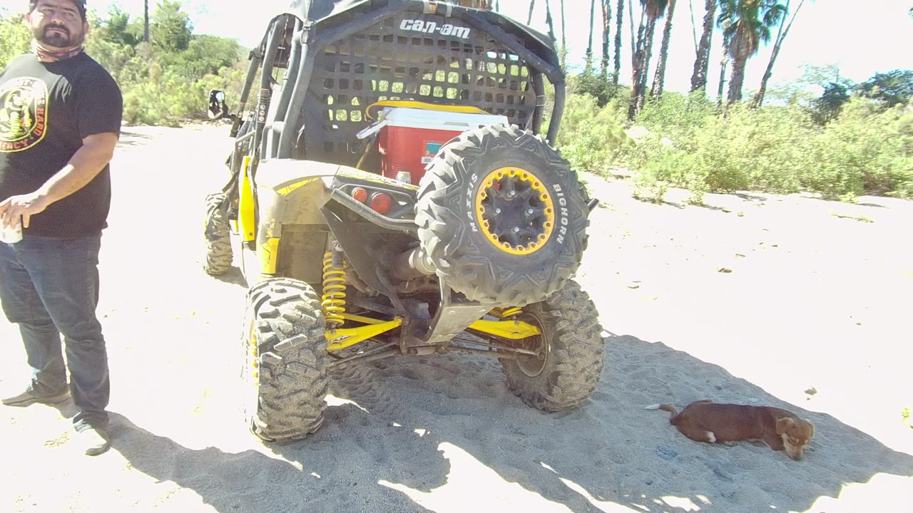 Man walking near the rear of an off-road vehicle as a dog lies on sand