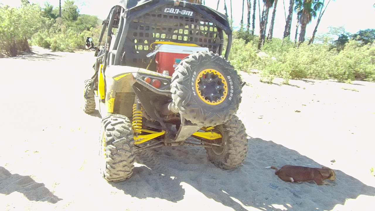 Parked off-road vehicle with a dog lying on sand to the right.