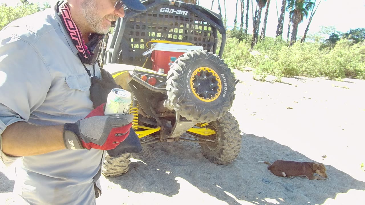 At 0:02 in Los Cabos, the man's face is partly visible in profile as he holds a can near the parked UTV, with the small dog low on the sand behind him.
