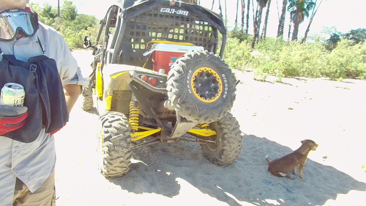 At 0:02 in Los Cabos, the cropped rider remains close to the camera with a dark bag and can, the branded UTV fills the center, and the dog sits near the right edge.