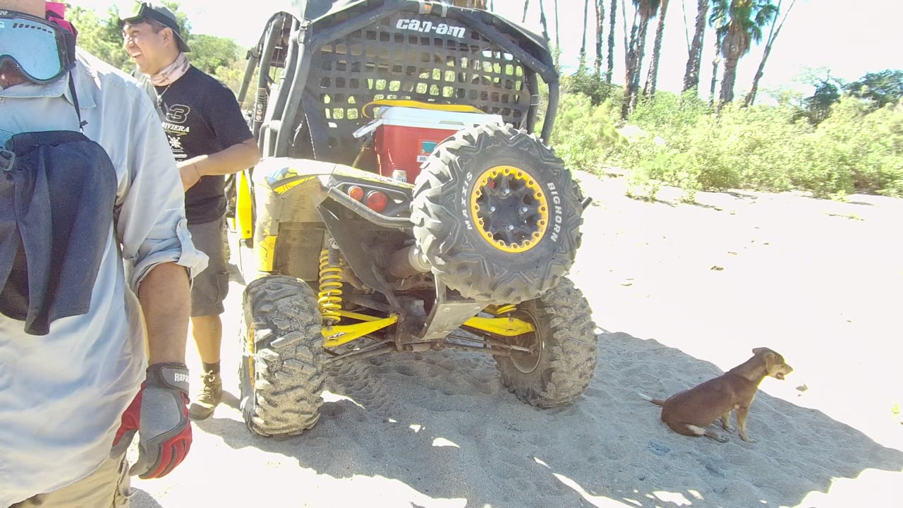 In Los Cabos, Baja California Sur, a yellow and black UTV is parked on bright sand while a cropped person in riding goggles stands close to camera, another man is visible at left, and a dog sits near the rear tire.