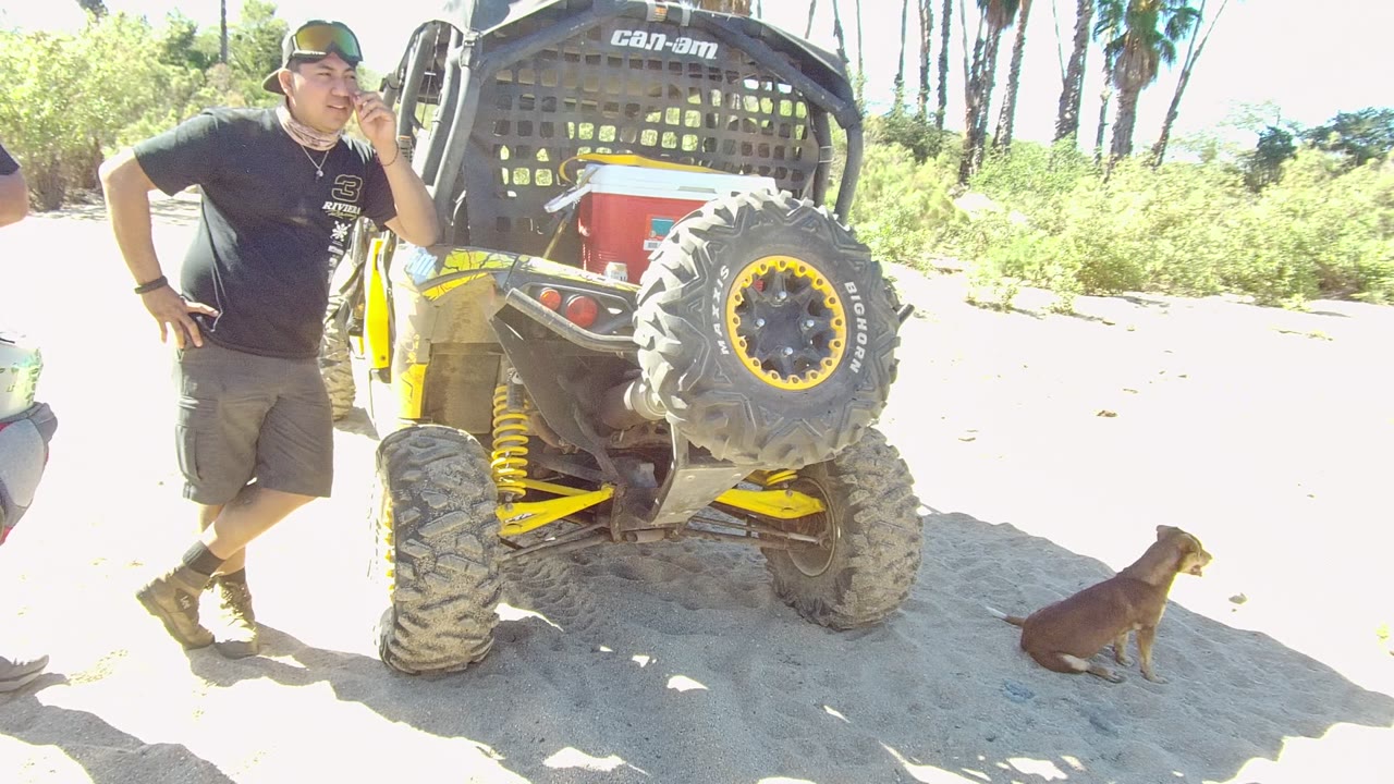 In Los Cabos, Baja California Sur, a man in a black shirt and cap stands next to a yellow and black dune buggy while a small brown dog sits on the bright sand.