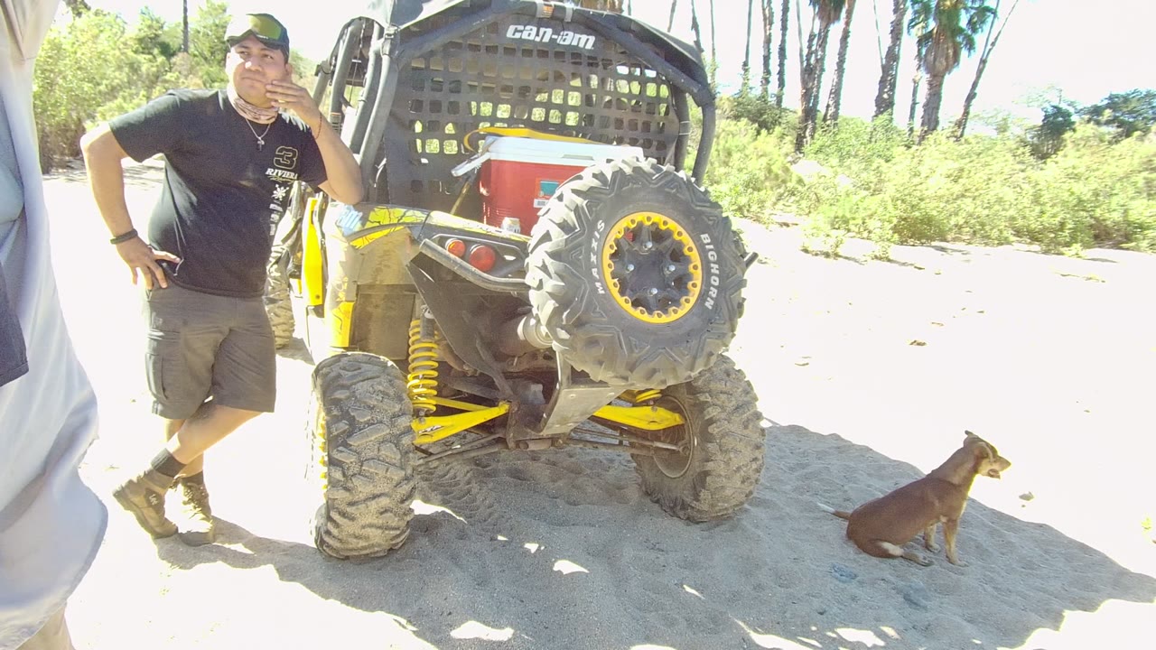 In Los Cabos, Baja California Sur, a man in a black shirt stands beside the rear of a yellow off-road vehicle while a small dog sits on the sand near greenery and palm trees.