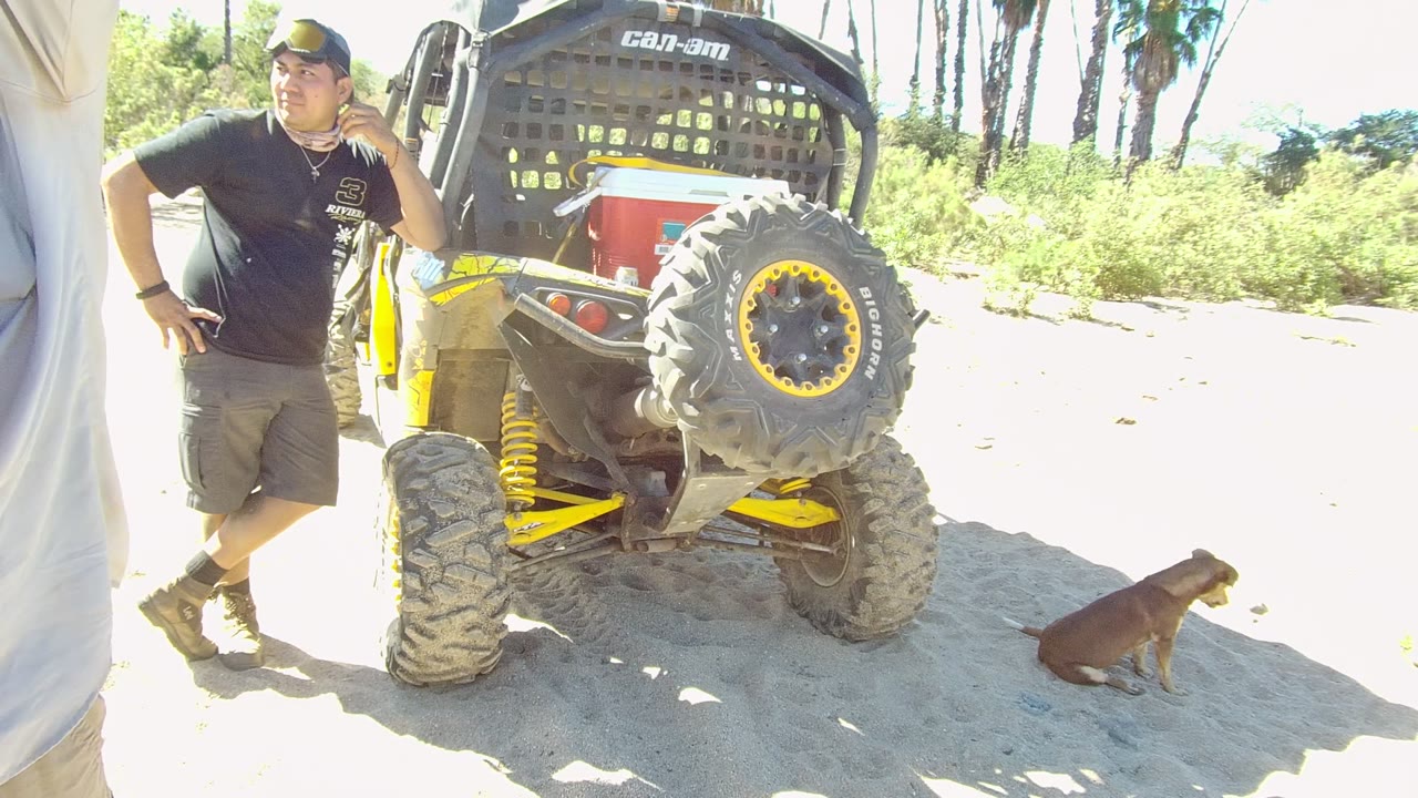 Man drinking beside off-road vehicle as dog sits on sand