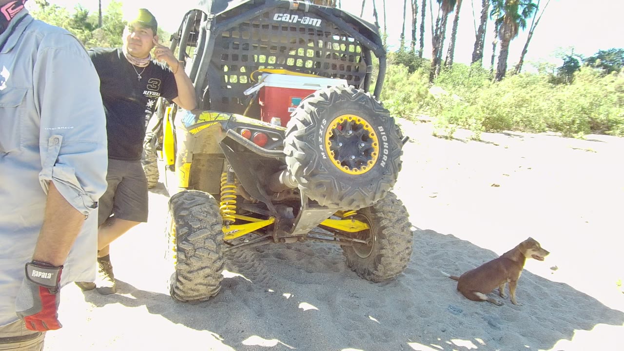 Yellow off-road vehicle with a person drinking and a dog sitting nearby.