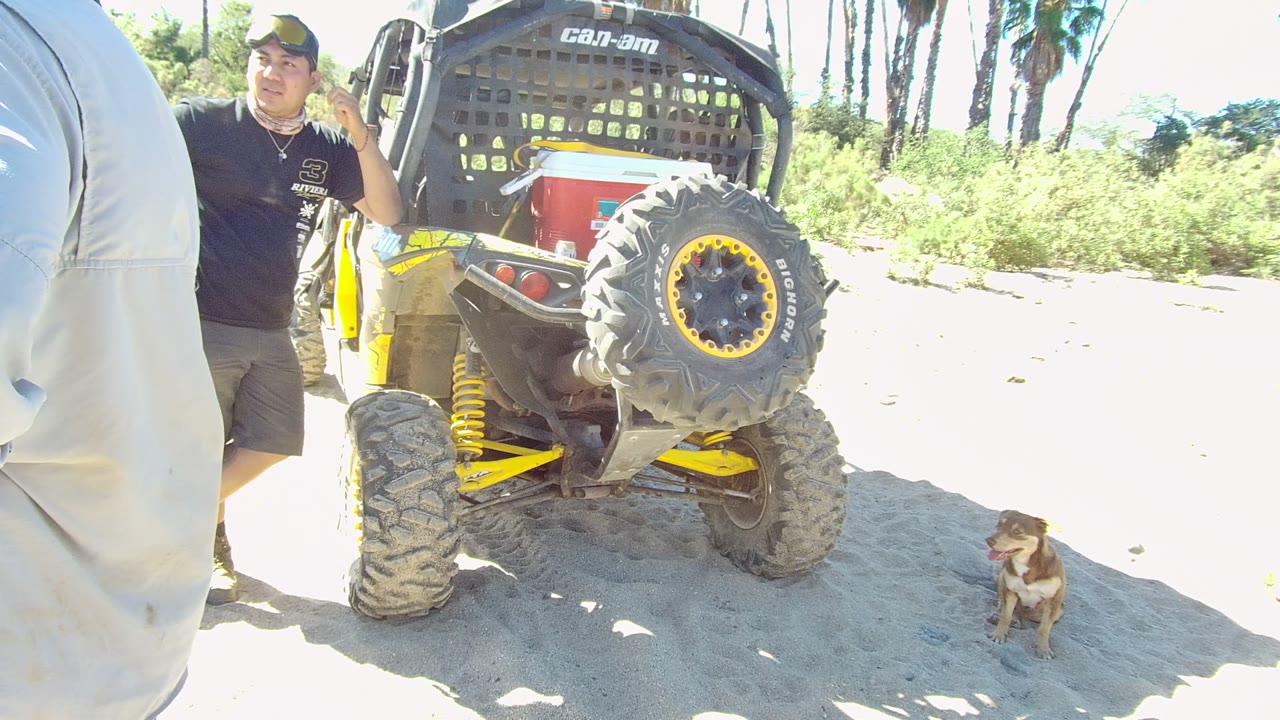 At 0:02 in Los Cabos, an adult man stands beside the yellow and black off-road vehicle while the small dog stays low to the right on the sandy path with green brush behind.