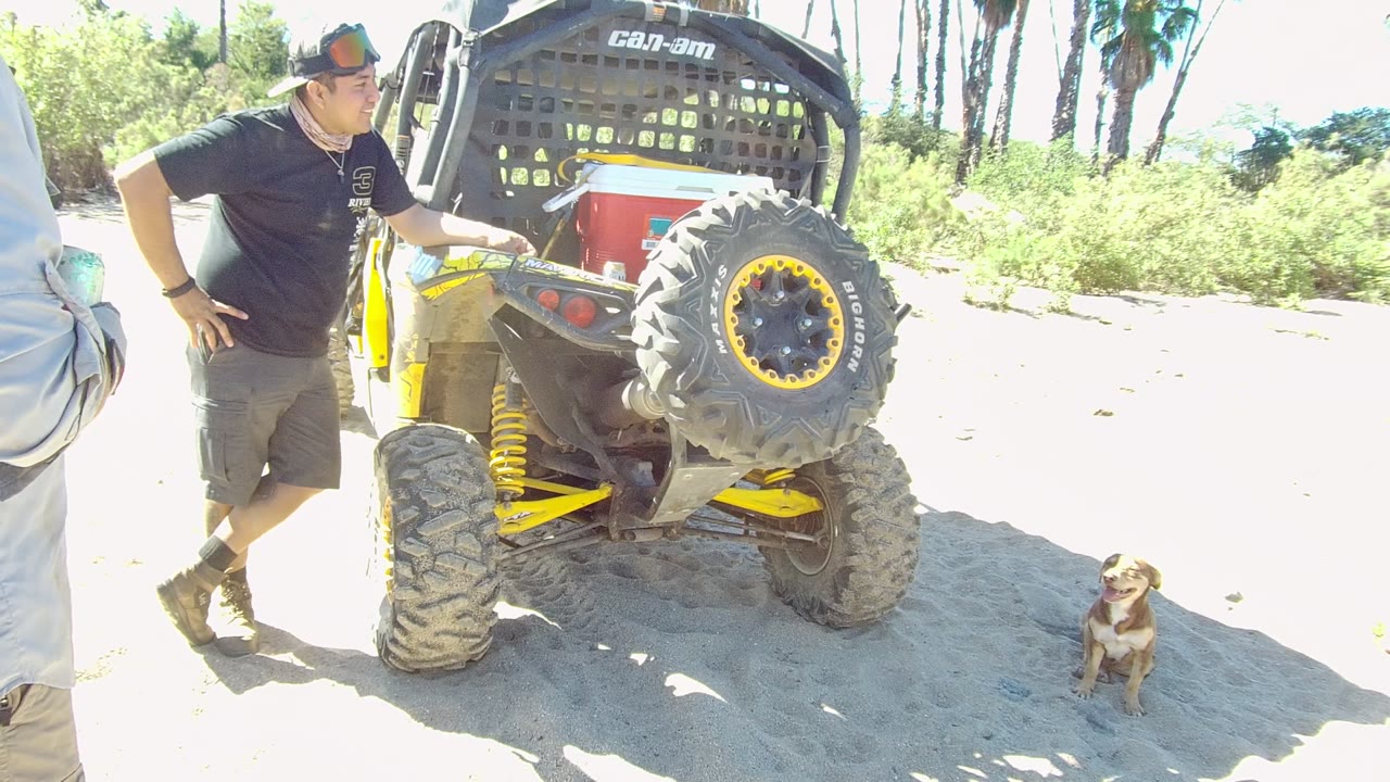 At the start of the Los Cabos clip, a man stands near the rear of a yellow and black Can-Am off-road vehicle while a small dog sits on bright sandy ground.