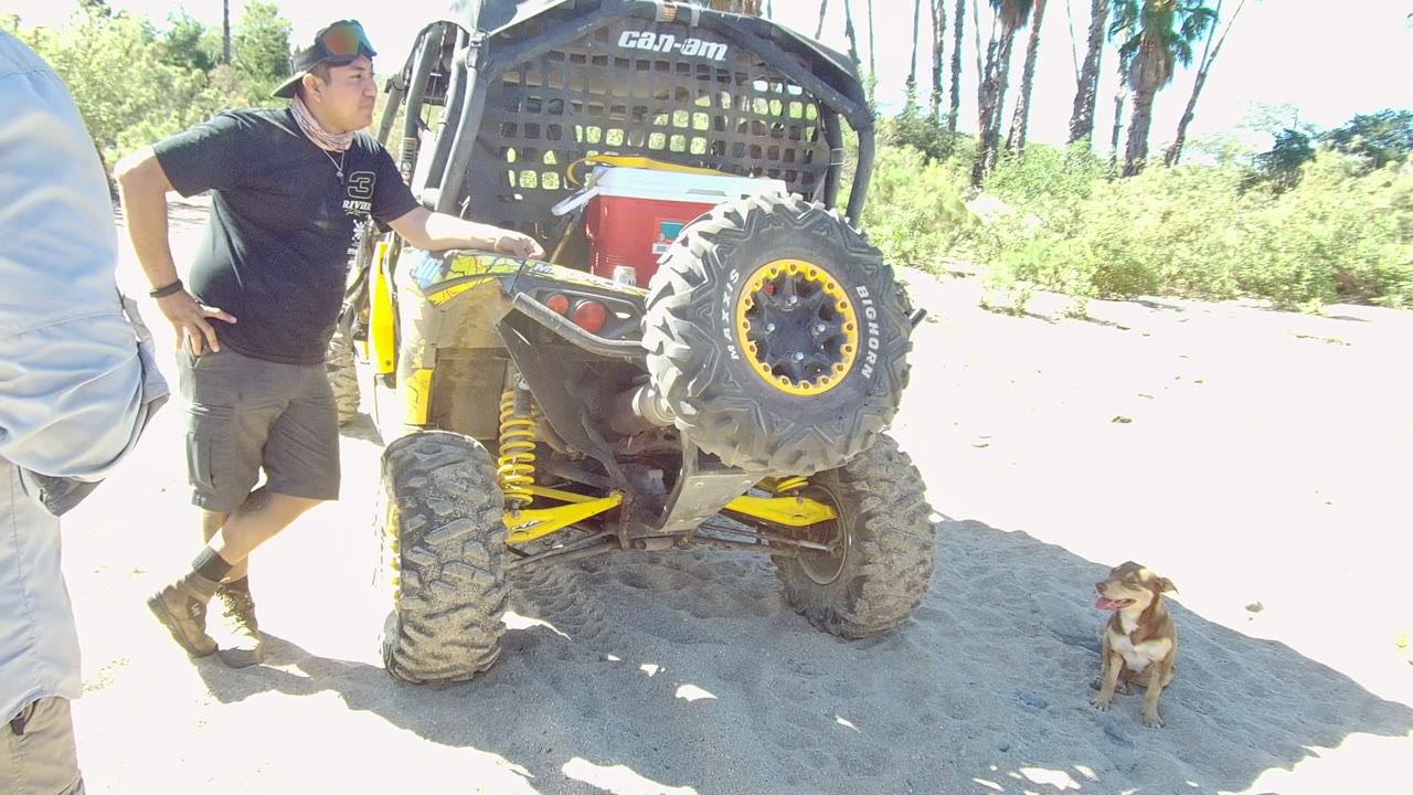 At 0:02, the frame holds on the off-road vehicle's large rear tire and yellow suspension, with the man at left and the small dog sitting in sunlight on sandy ground.