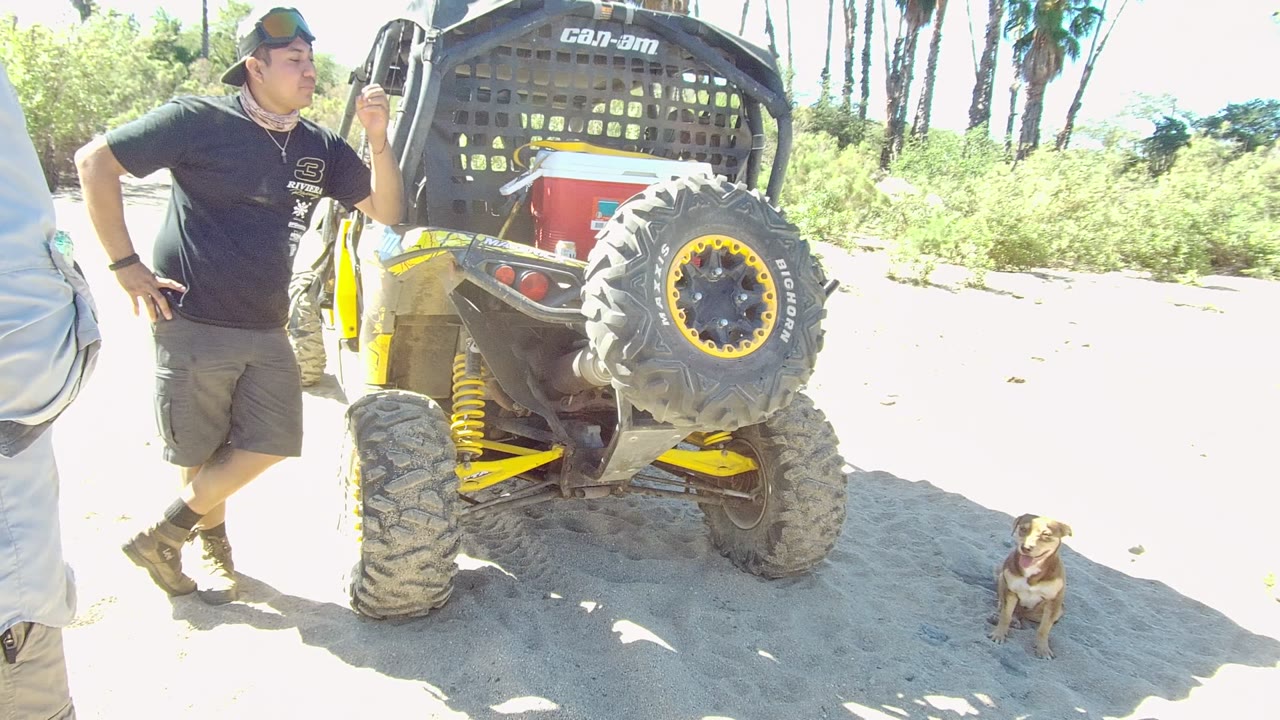 Man gestures beside the rear of a dune buggy while a dog sits on sand.