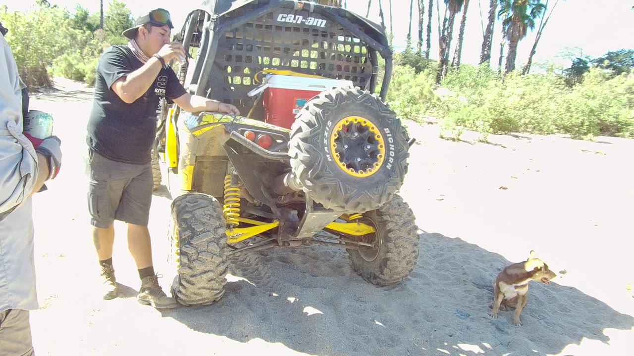 At 0:00 in Los Cabos, a man in a black shirt stands by the rear of a yellow and black dune buggy while a small brown dog sits on sandy ground nearby.