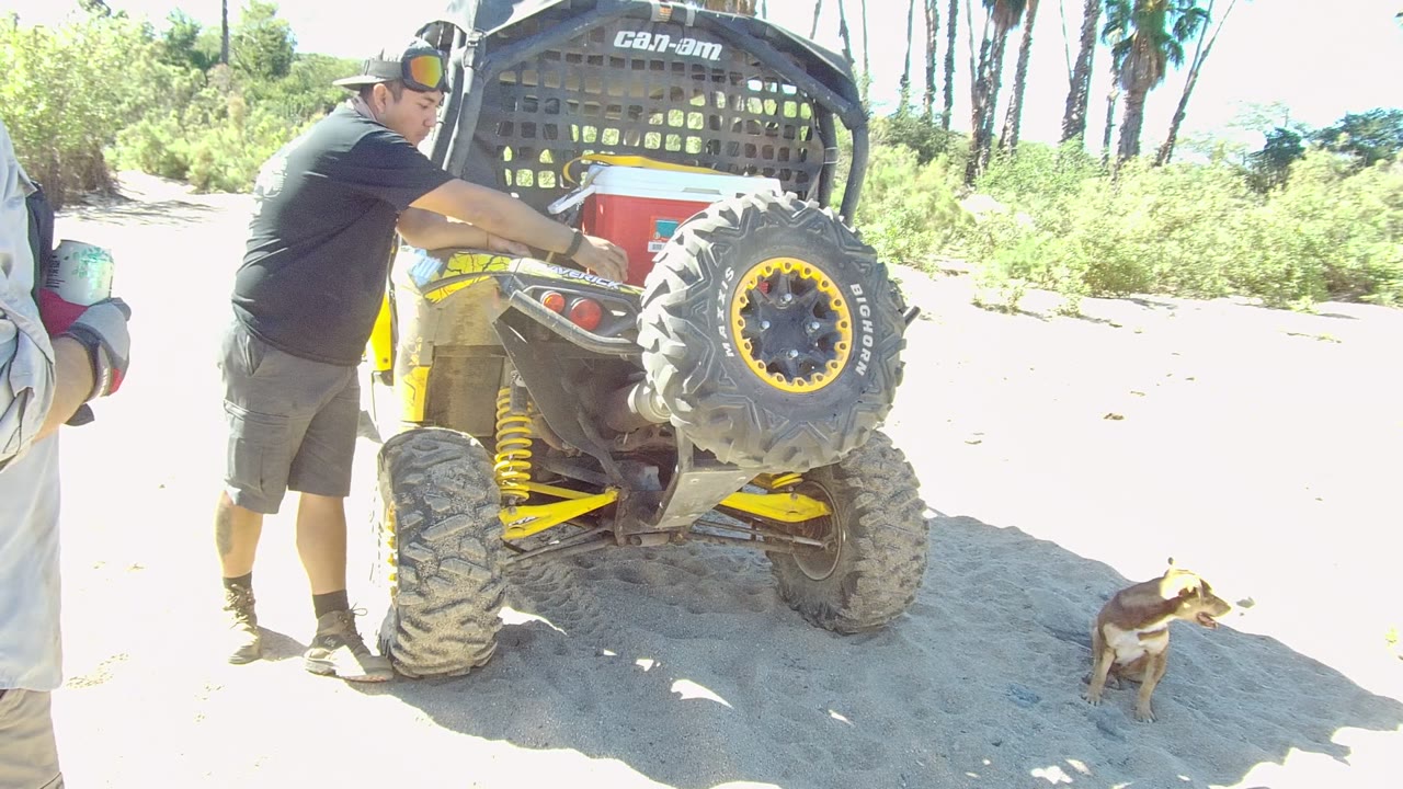Man leaning toward a dune buggy as a dog sits in the sand beside it.