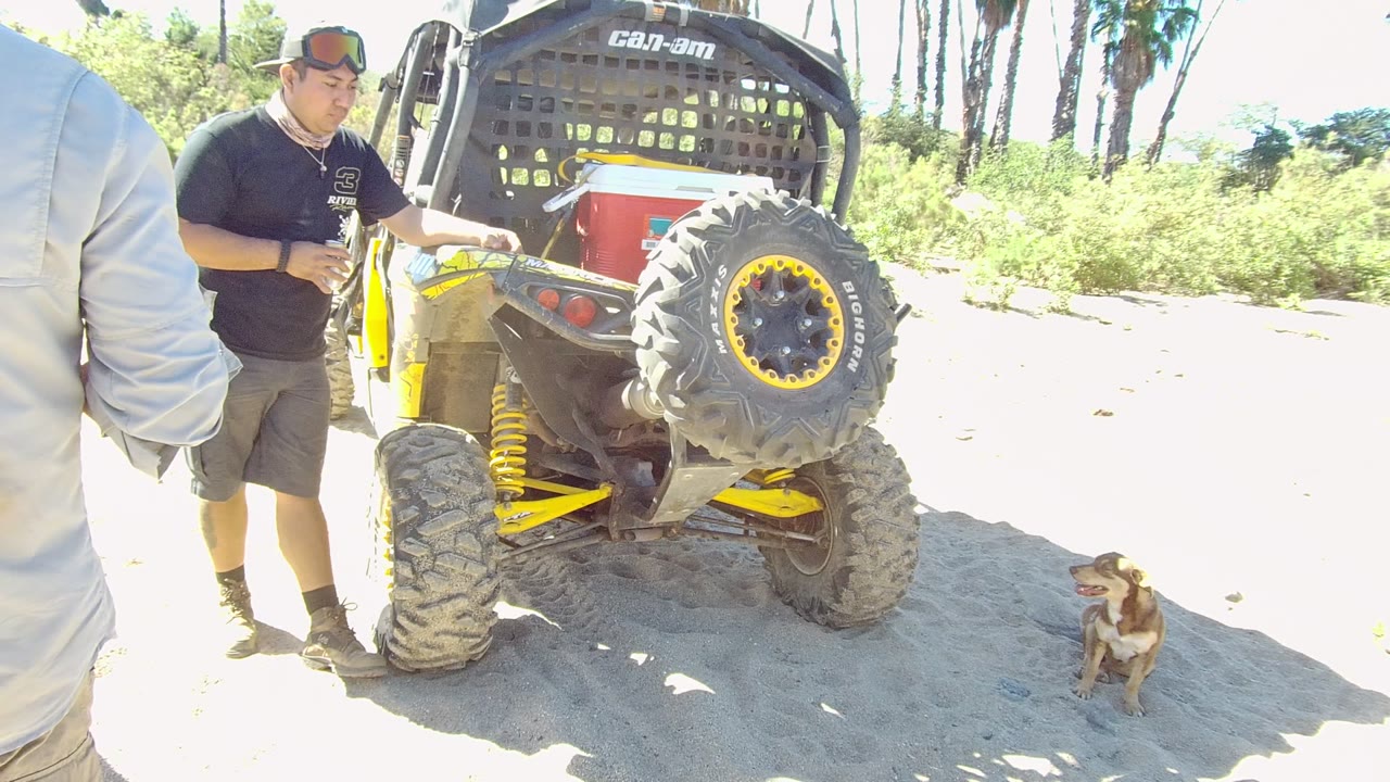 Off-road vehicle rear tire beside man and seated dog