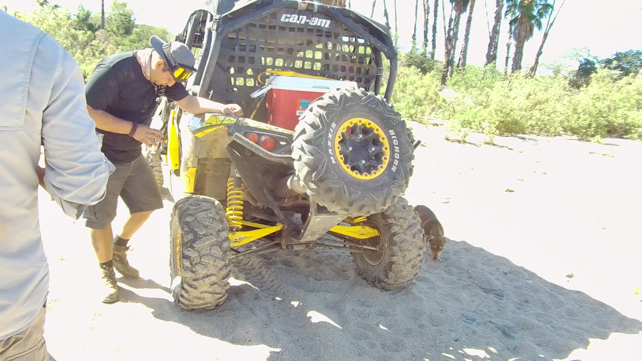 At 0:02 in Los Cabos, Baja California Sur, the man and UTV stay in place while a brown dog begins entering from the right side of the sandy frame.