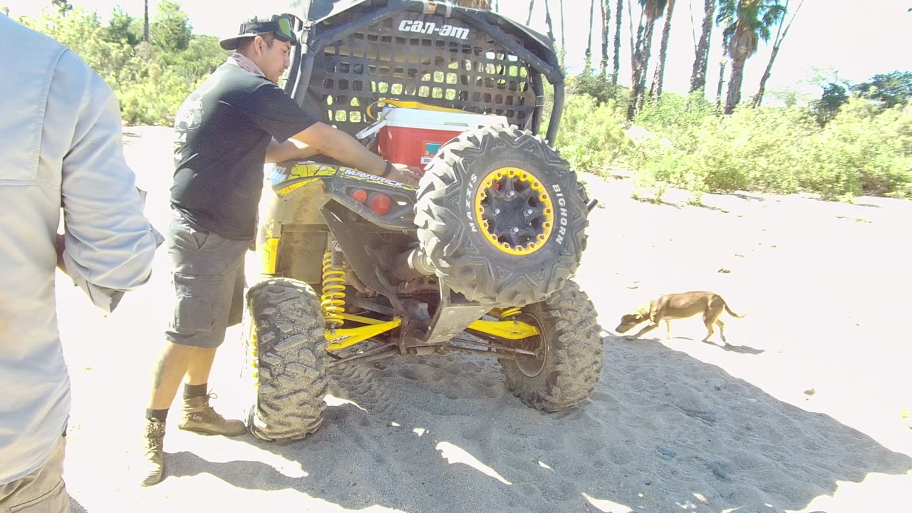 In Los Cabos, Baja California Sur, a man stands at the rear side of a yellow-accented Can-Am ATV on bright sand while a small dog walks near the vehicle.