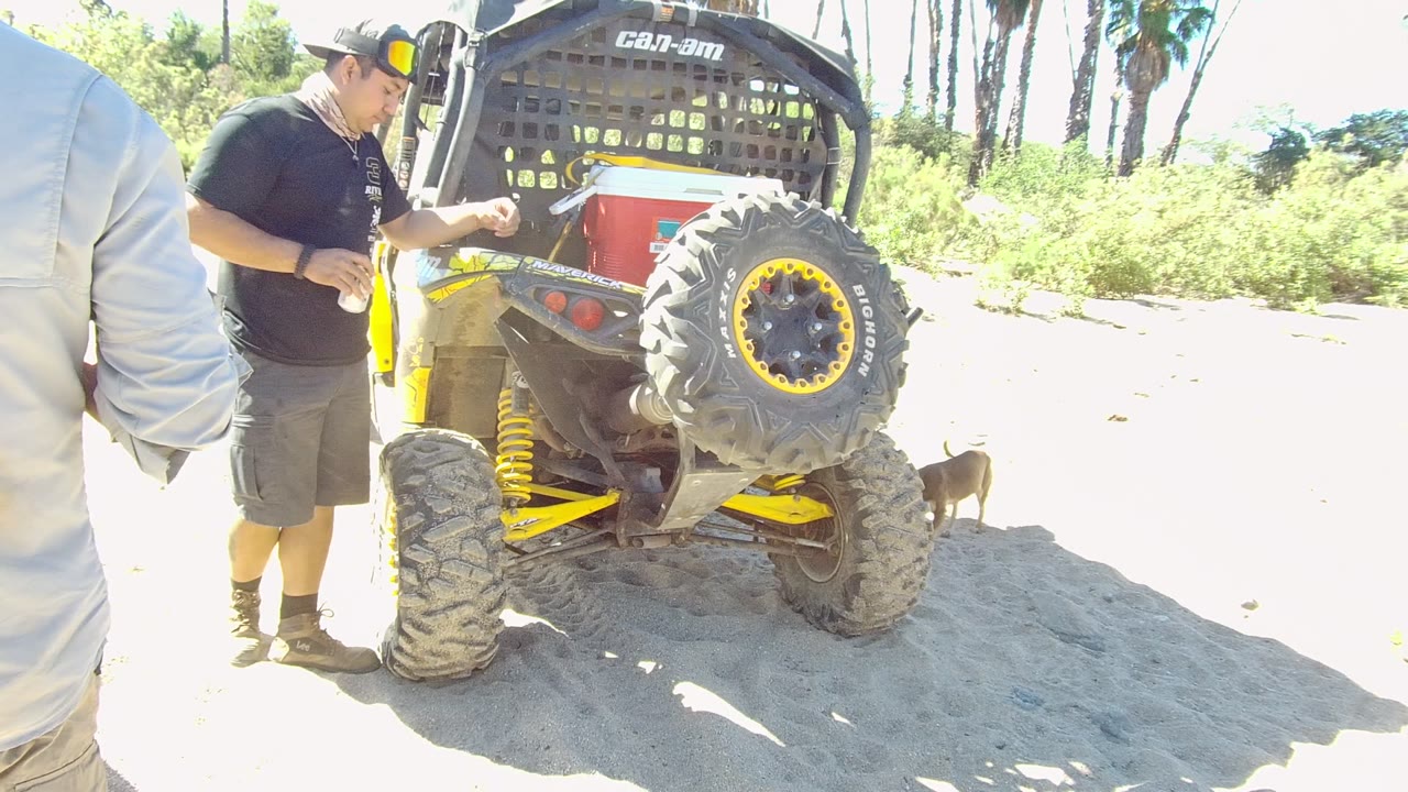 Man beside the rear of an ATV on bright sand as a dog moves in the background.