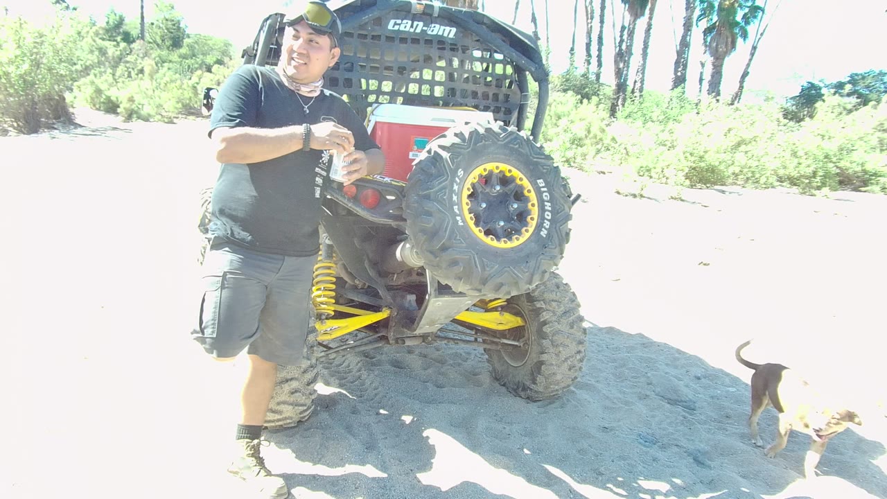 A man stands close to the rear of the ATV in Los Cabos as the small dog moves farther right across the bright sandy background.