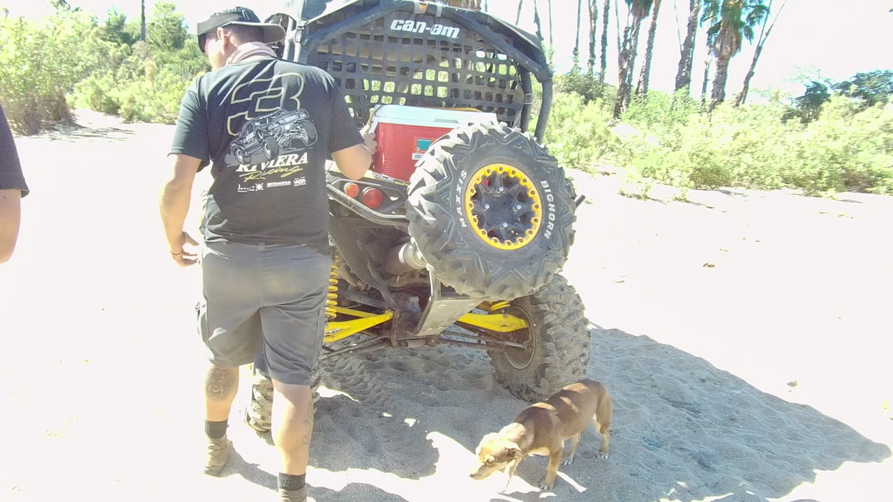 In Los Cabos, a man seen from behind stands near the rear of an off-road vehicle as a small dog moves across the sandy foreground with bright vegetation behind.