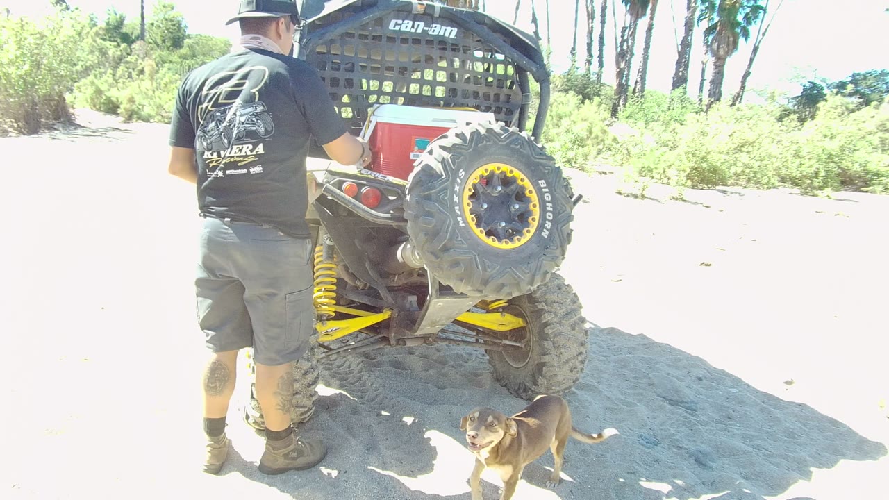 Man stands at the rear of an ATV while a small dog looks toward the camera.