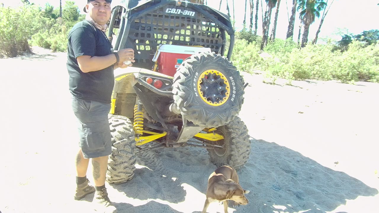 In Los Cabos, the man turns toward the camera beside the off-road vehicle, with his face partly visible, the dog at lower right, and harsh midday light on the sand.