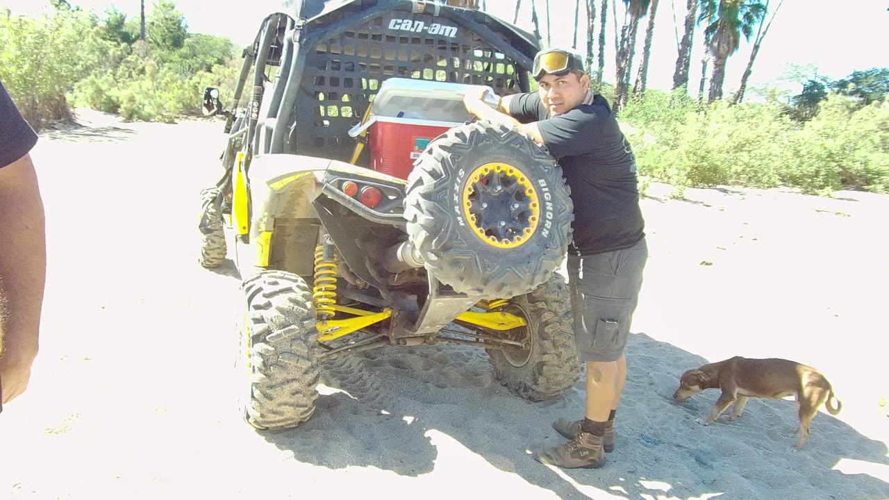 In Los Cabos, Baja California Sur, Mexico, a man leans near the rear spare tire of a yellow and black Can-Am off-road vehicle while a small brown dog stands on bright sand.